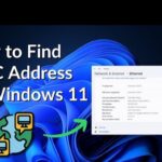 9 Best Ways to Find MAC Address in Windows 11